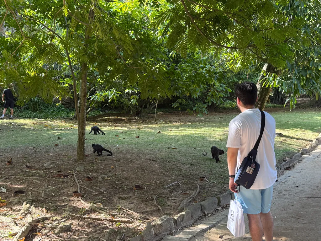 the Botanical Garden in Rio