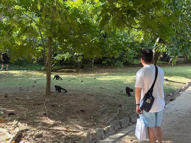 the Botanical Garden in Rio