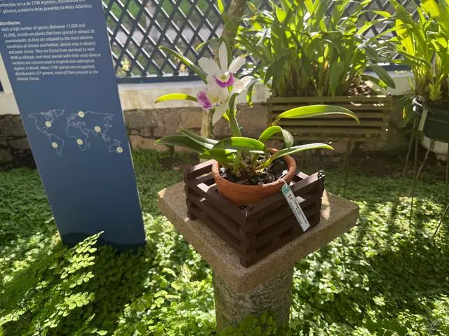 the Botanical Garden in Rio