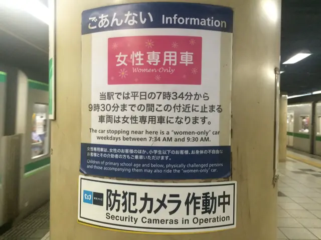 lady subway car