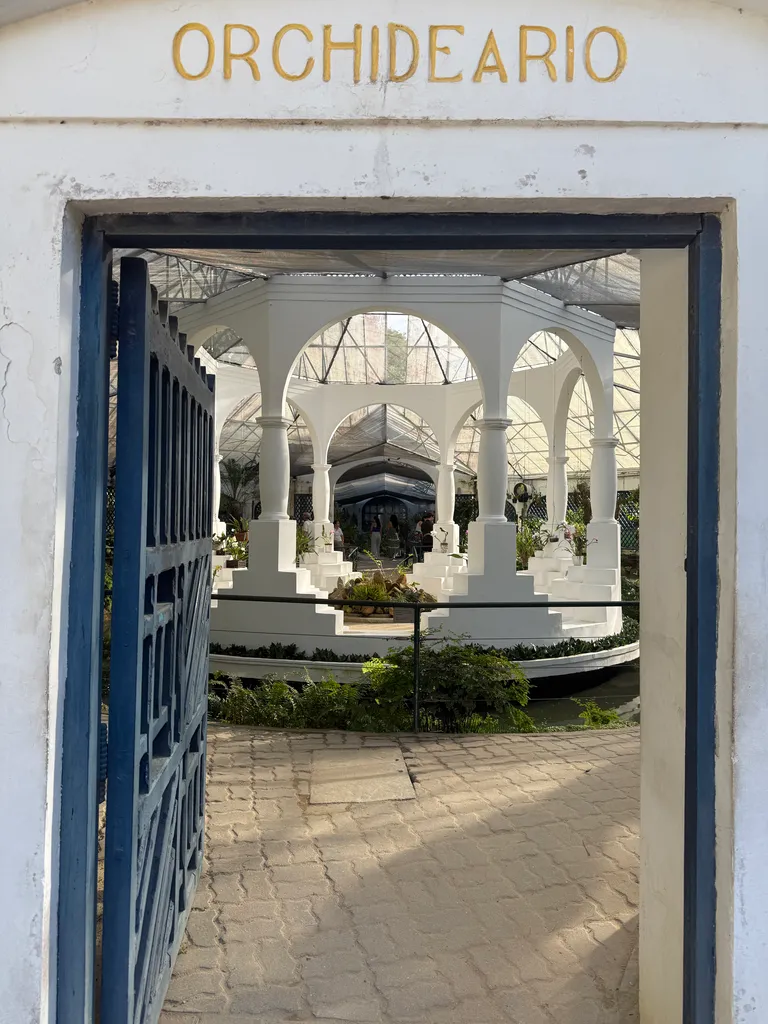 the Botanical Garden in Rio