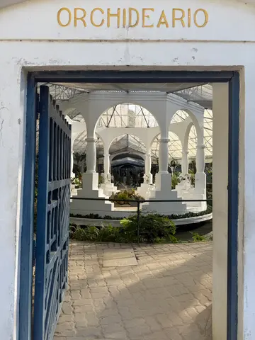 the Botanical Garden in Rio