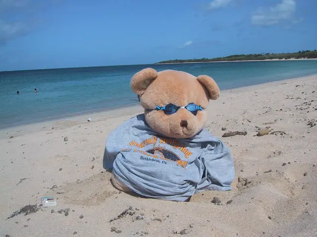 hedgehog shirt, Fiji