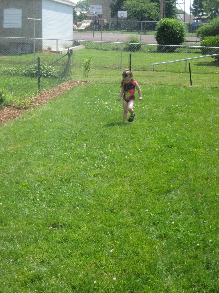 martha versus the hose