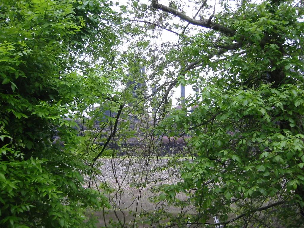 the steel, seen through the woods