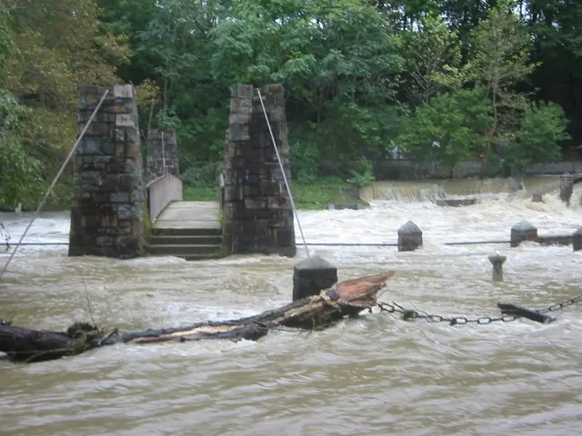 the flood, 2004, img_1860