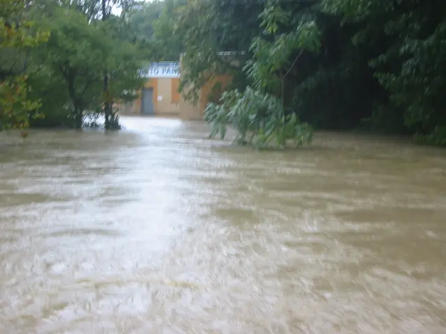 the flood, 2004, img_1817