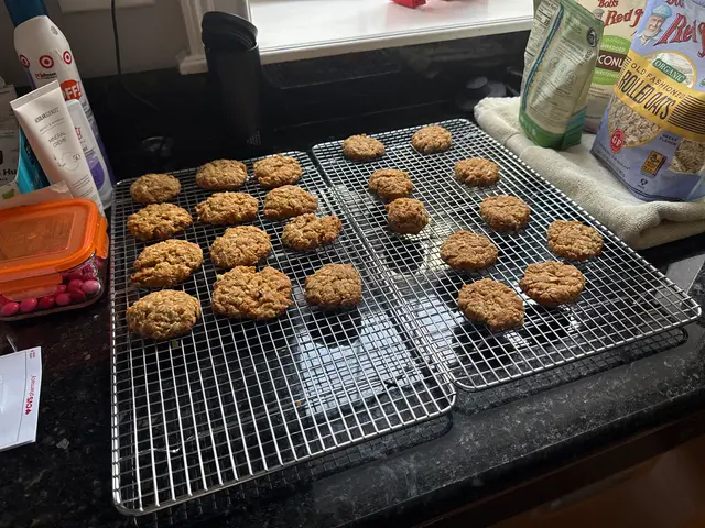 Anzac biscuits