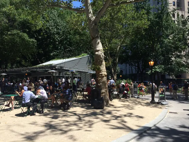 Shake Shack!
