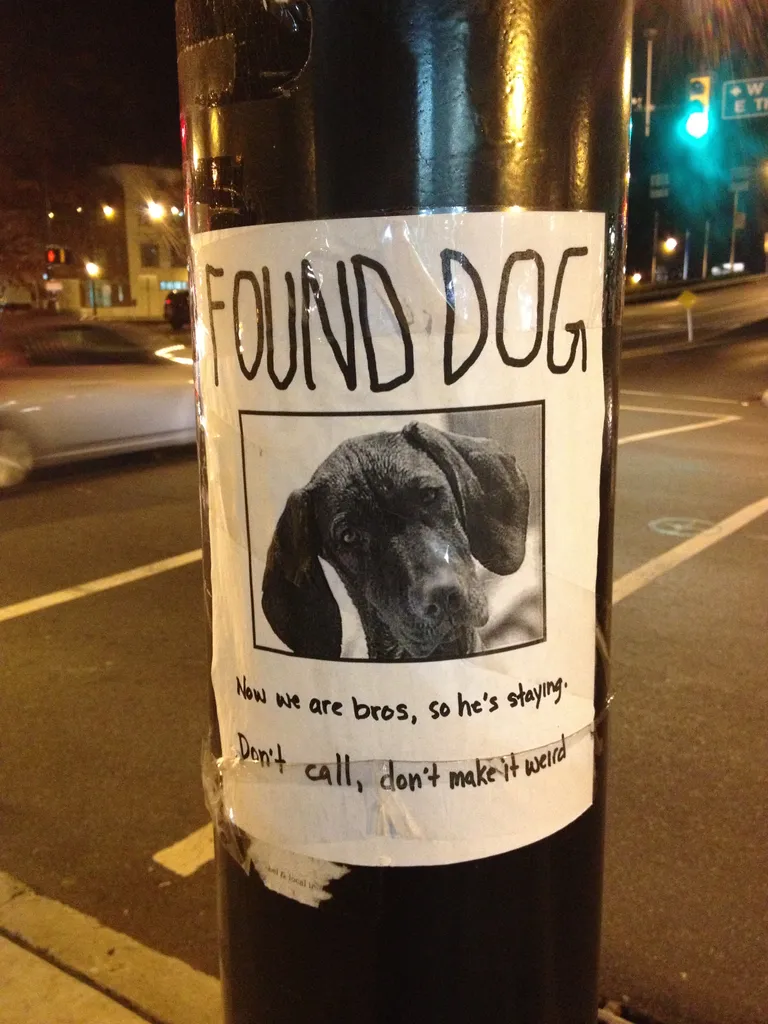 sign seen on the walk home
