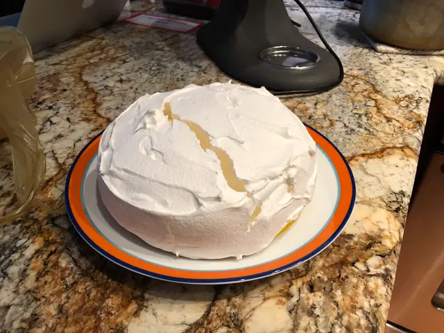 second Pavlova attempt