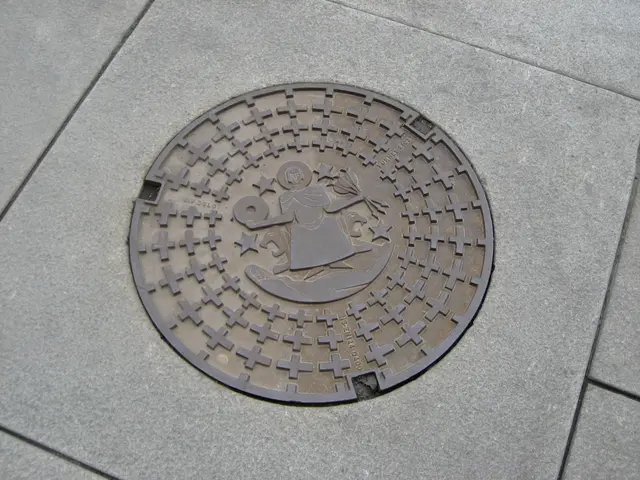 manhole cover, design 1