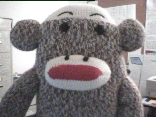 Sock Monkey