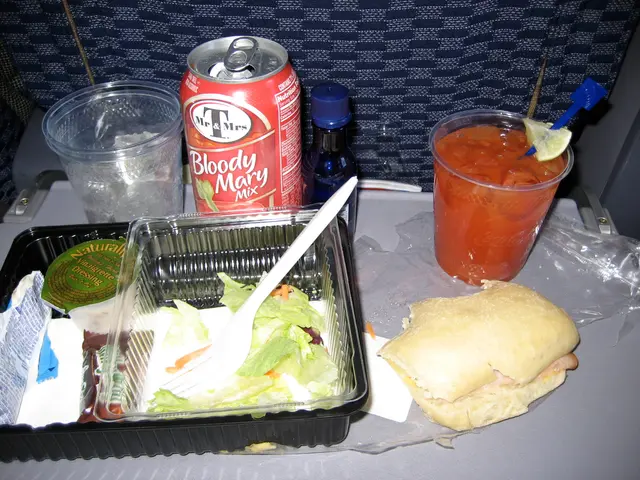 airline food