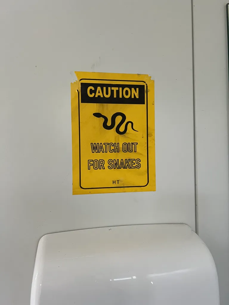 bathroom snakes