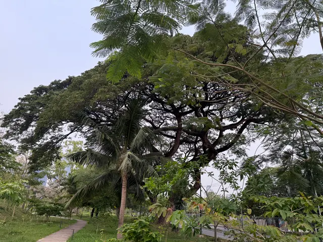 Benjakitty park