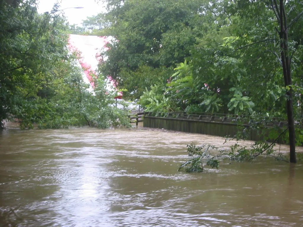 the flood, 2004, img_1829