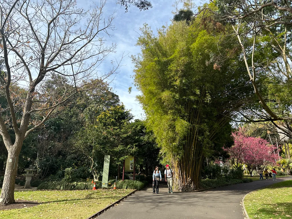 Sydney botanical gardens