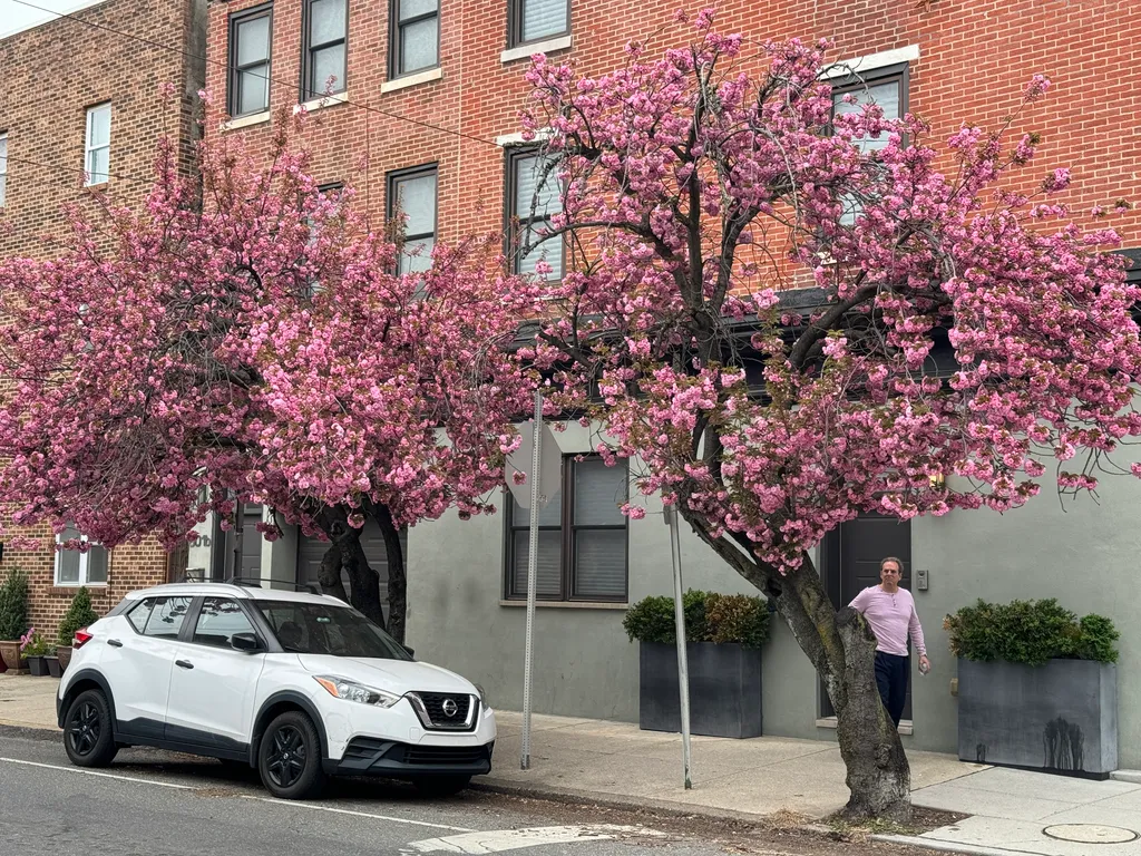 Philly in Bloom