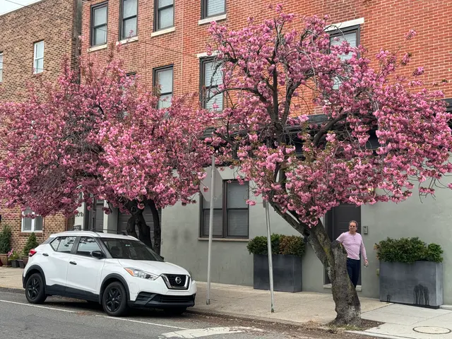 Philly in Bloom