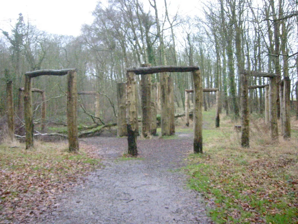 timber circle