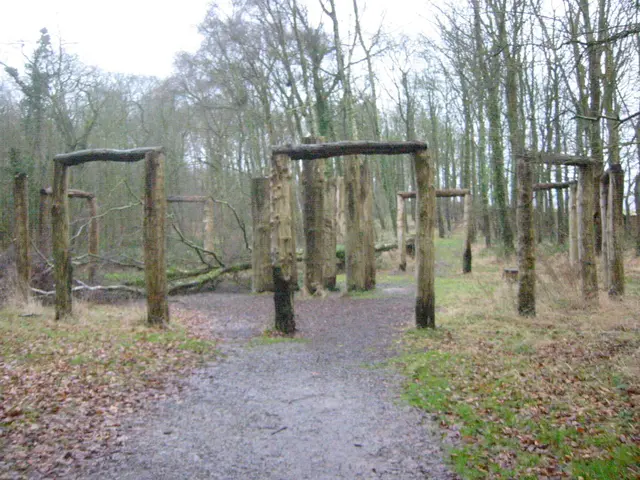 timber circle