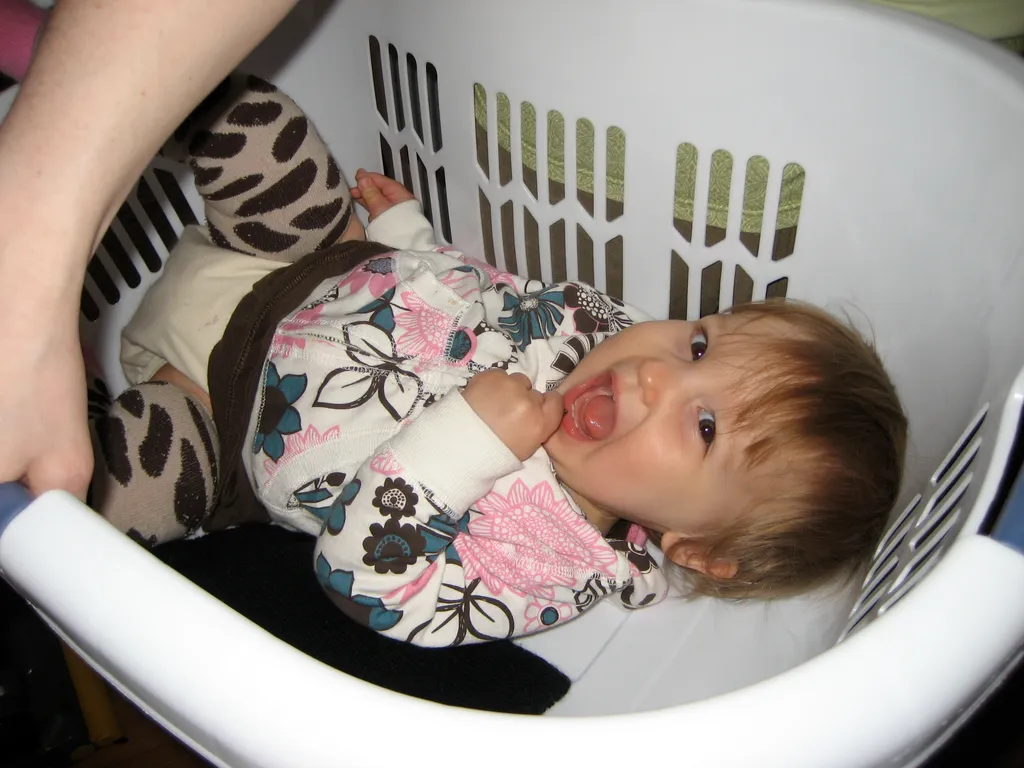 beware the wild hamper baby