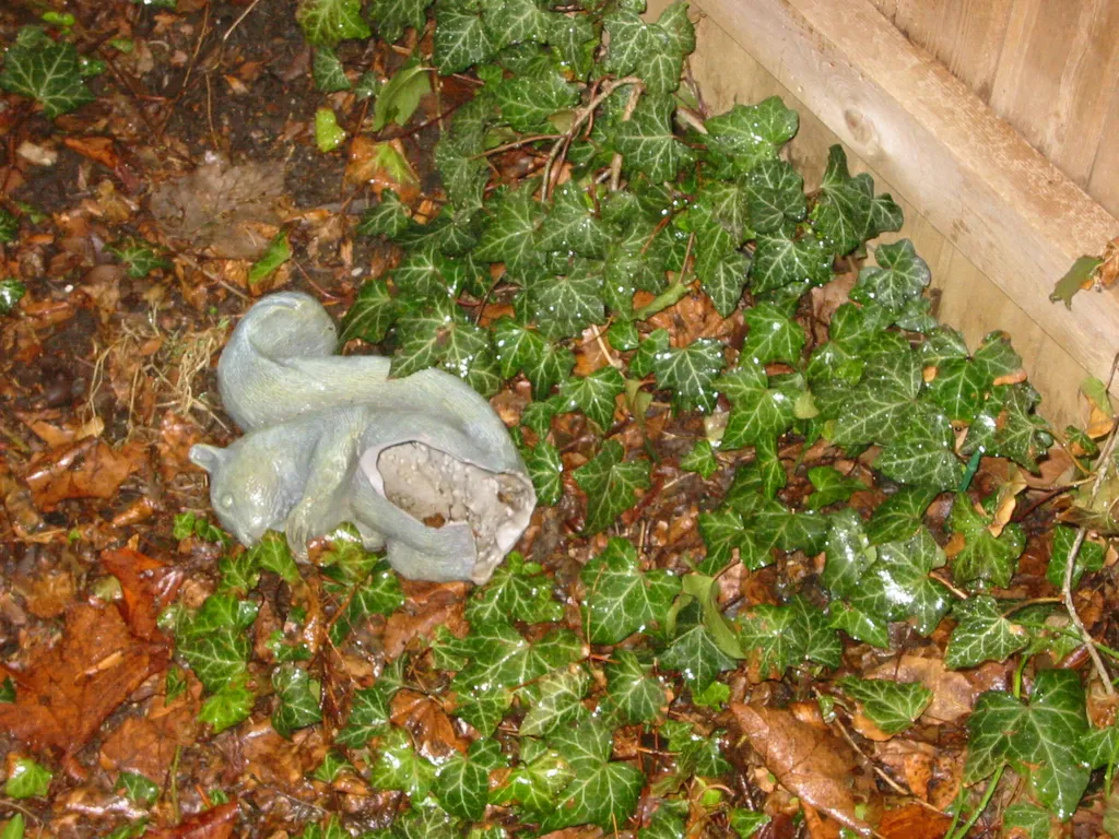 ceramic_squirrel