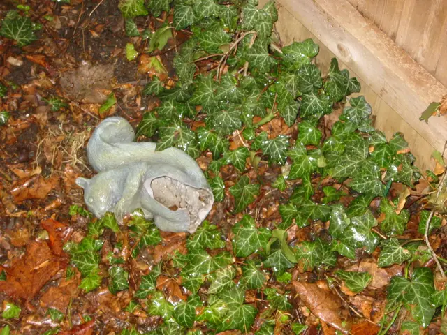 ceramic_squirrel