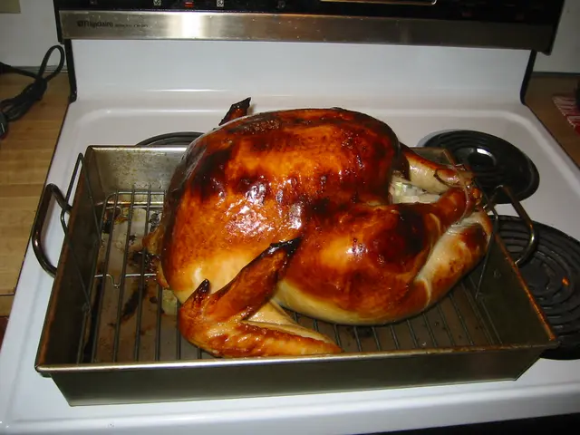 thanksgiving, 2003, The Turkey