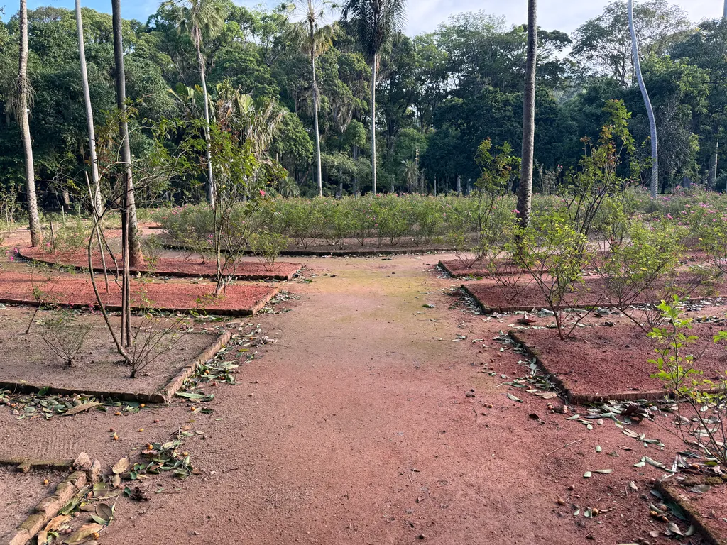 the Botanical Garden in Rio