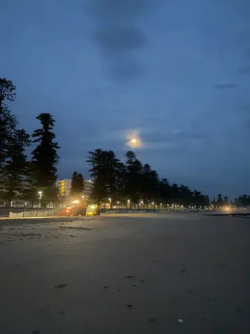 at Manly Beach