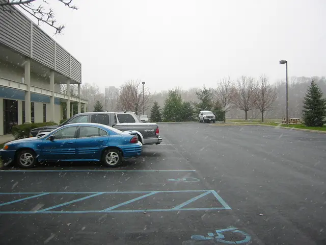 snowstorm, 2003-12, img_0978