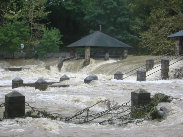 the flood, 2004, img_1858