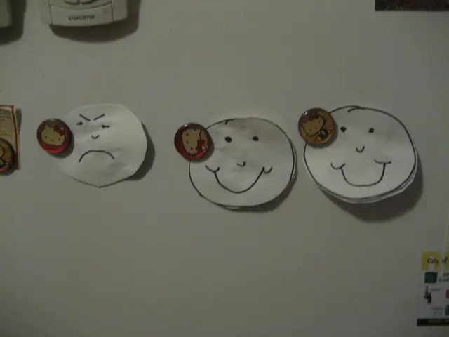 anger management system