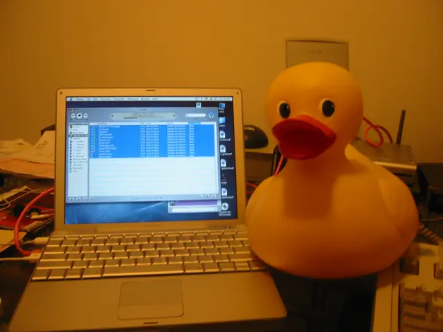 knave and duck