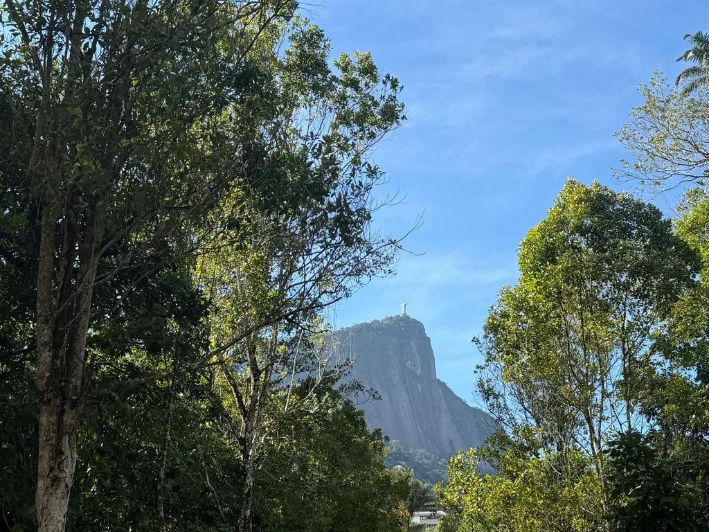 the Botanical Garden in Rio