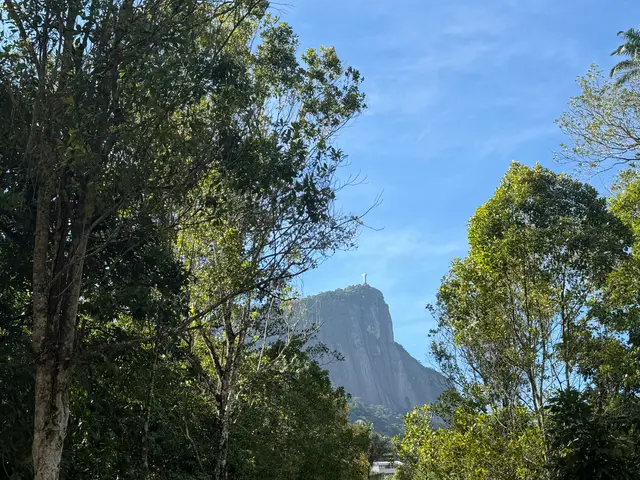 the Botanical Garden in Rio