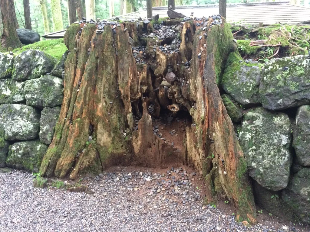 tree trunk