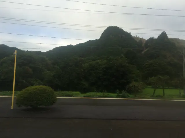 Nikko/Tokyo train ride