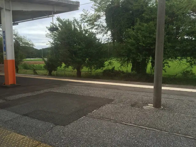 Nikko/Tokyo train ride