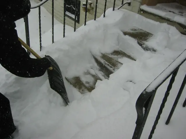 snowstorm, 2003-02, Gloria