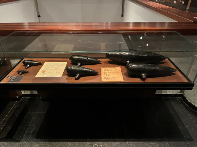 Musical Instrument Museum
