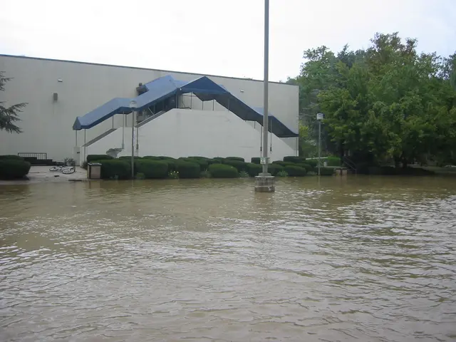 the flood, 2004, img_1871
