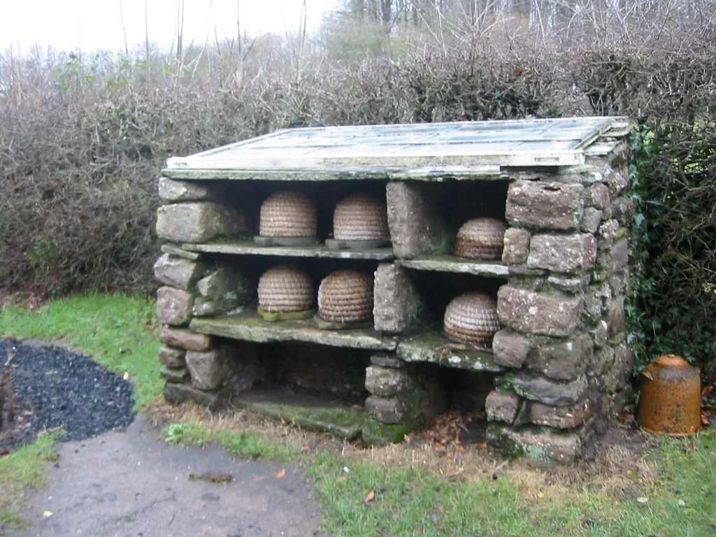 bee hives