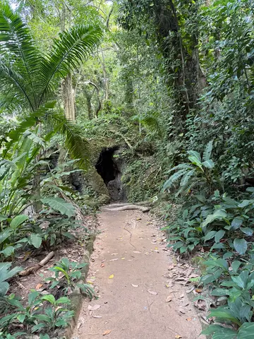 Parque Lage