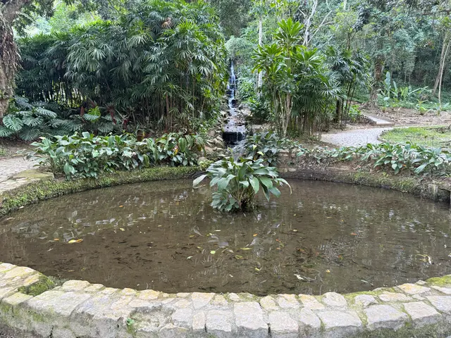 the Botanical Garden in Rio