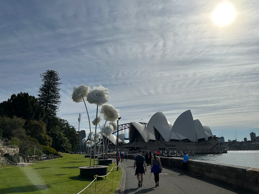 walking around the habor