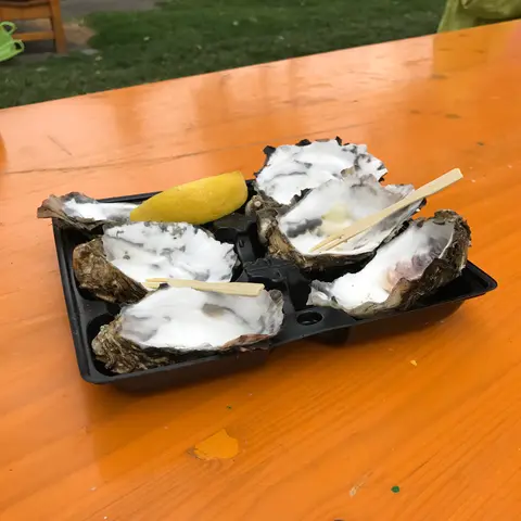 oysters