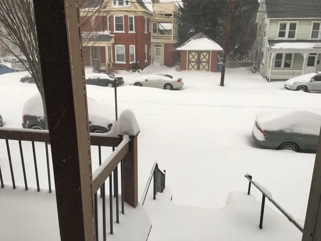 January 2016 snowstorm